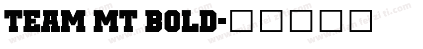 Team MT Bold字体转换